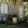                                                           cabin view from outdoor tub under willow tree