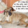 Animal Lovers Special! 
