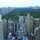 Central Park View from Rooftop