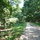 Croton Aquaduct Nature Trail behind home
