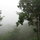 The late afternoon cloud forest mist moves through quickly and briefly enshrouds the house.