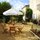 The Lavender House - B&B in France