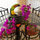 Some of our lovely flowers