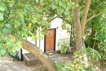 Lovely North Berkeley Cottage for 2
