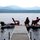 Relaxing on the dock in July.