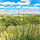 View over the countryside