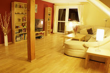 Ski/Snowboard house in Slovakia