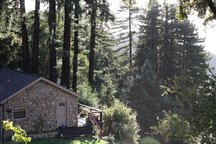 Santa Cruz Mtns. Dragonfly Cottage 