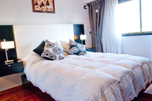Luxury flat