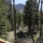 mountain and rever views form the deck