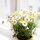 Central, simple, charming