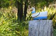 Coastal Bushland Retreat - Tasmania