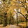 3 blocks from Central Park