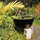 Chic Eco Yurt Home + Edible Gardens