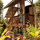 Covered lanai faces gardens + Lehua Road.