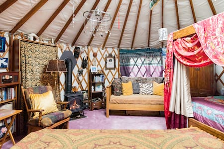 Unique Yurt Glamping in an Urban Oasis