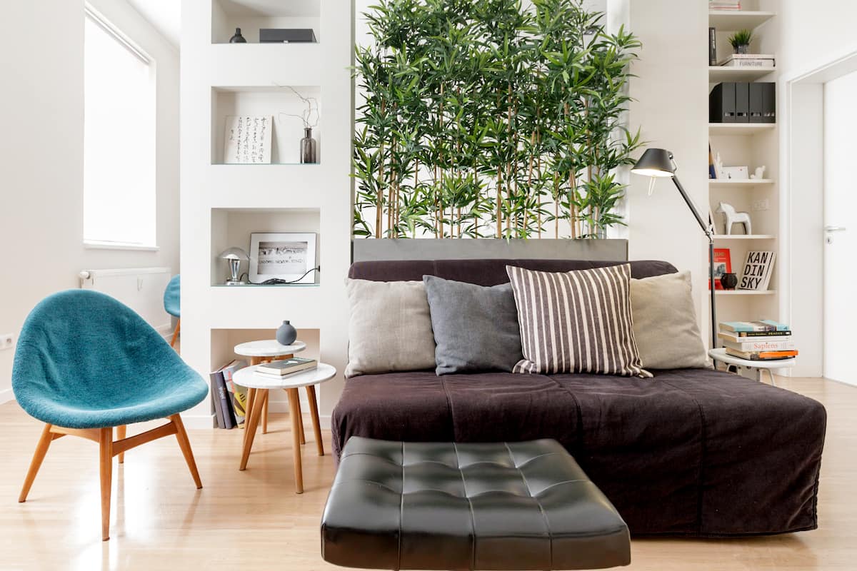 Stroll to the Park From a Sleek Designer Studio