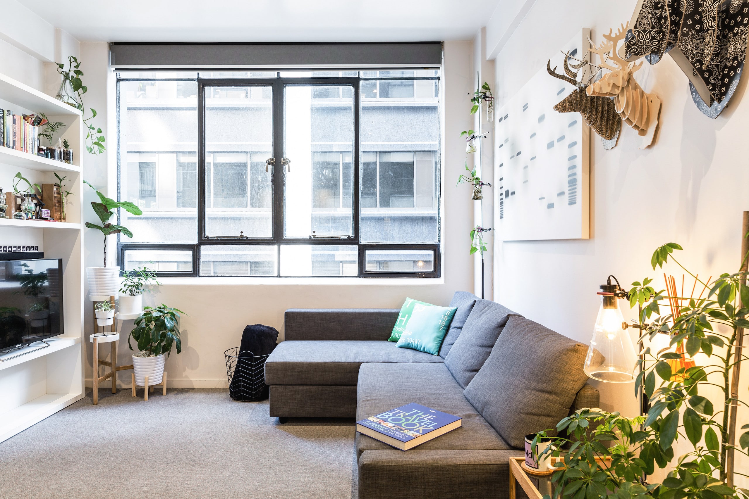 The Scientist S Studio Apartments For Rent In Melbourne Victoria Australia