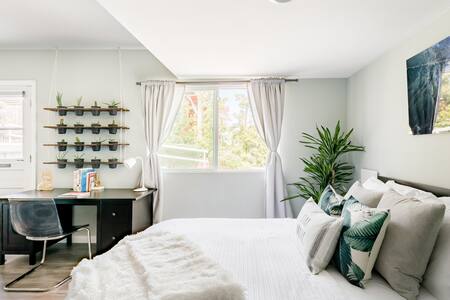 Bike to the Beach from Contemporary Studio Guesthouse