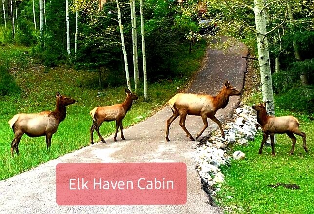Elk Haven Mountain Getaway Cabins For Rent In Cloudcroft