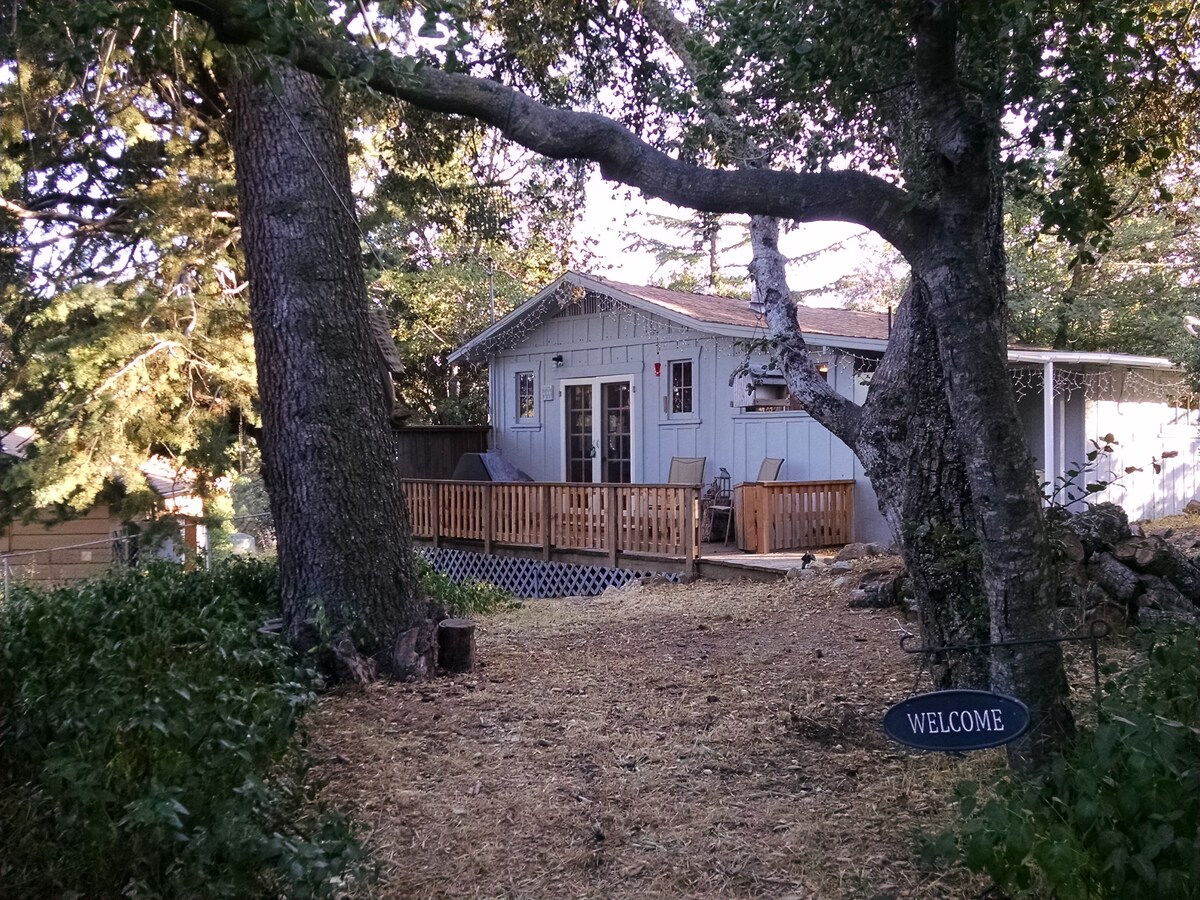 T S Place A Rustic Julian Cabin Pets Welcome Cabins For Rent