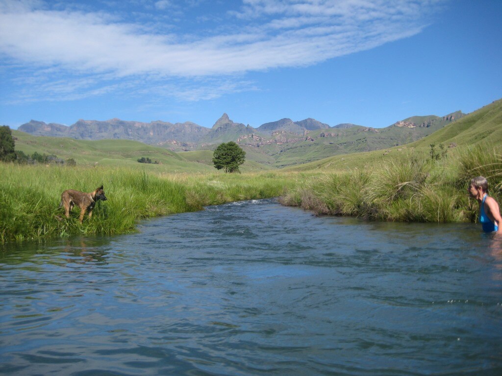 Theljean Cottage Drak Gardens Houses For Rent In Underberg