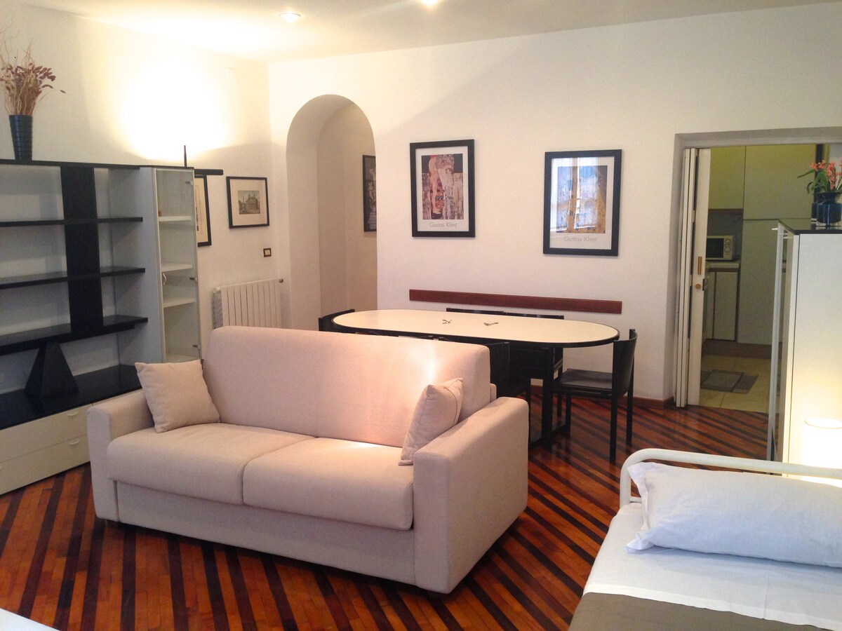One Bedroom Apartment Near Trevi Fountain Apartments For