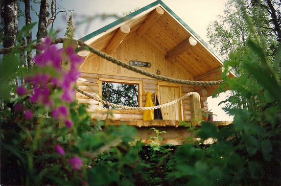 Kenai River Cabin W Great Fishing Cabins For Rent In Soldotna