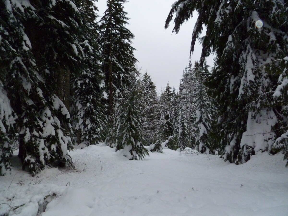 Trillium Lake Basin Cabins Cabins For Rent In Government Camp