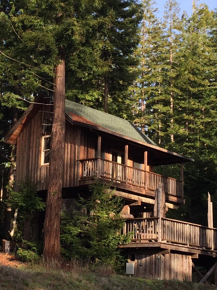 Unique Private Tree House Cabin Treehouses For Rent In Mendocino