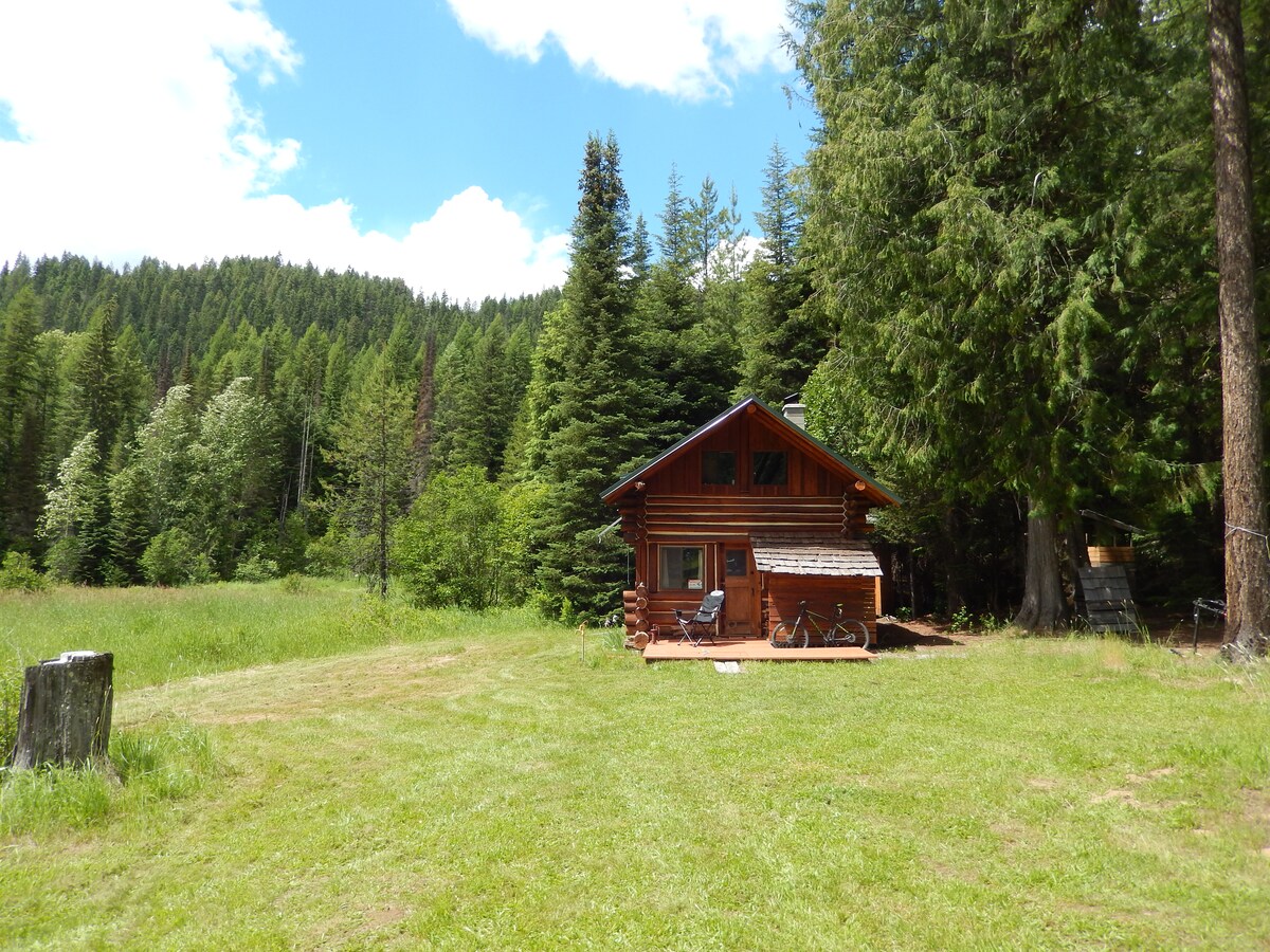 Sylvia S Selkirk Retreat Priest Lake Cabins For Rent In Priest