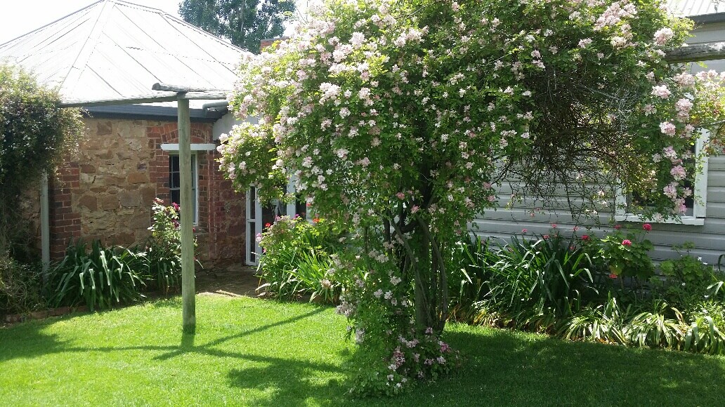 Bill S Cottage Houses For Rent In Young