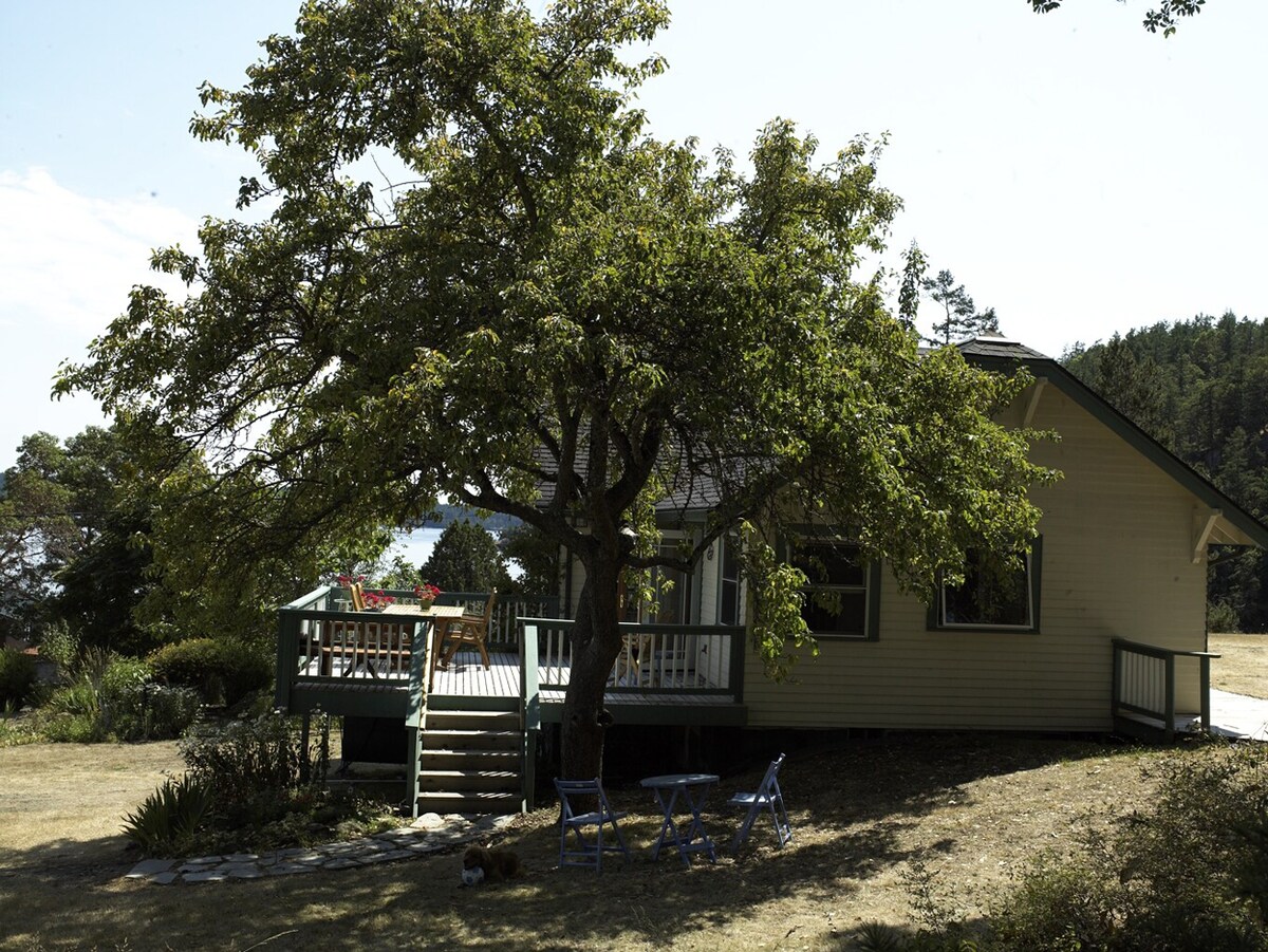 Classic Island Vacationing View Houses For Rent In Eastsound