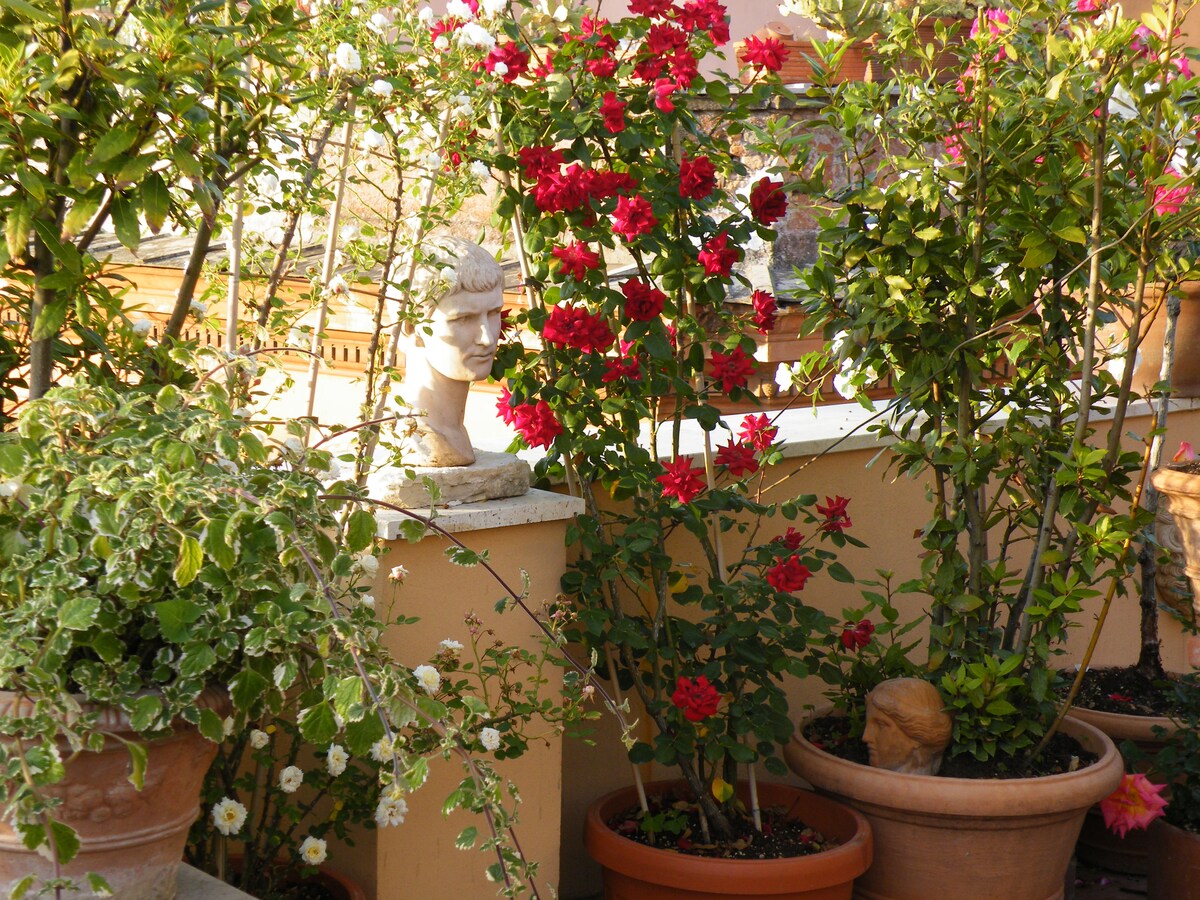 Panoramic oasis in rome center apartments zur miete in rom Veranda Kleine ispirazioni