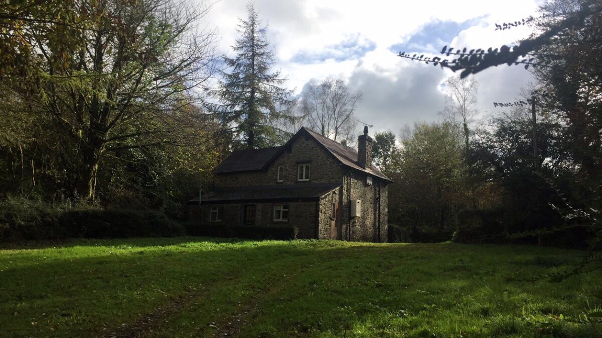 Eagle Lodge Holiday Cottage Cottages For Rent In Narberth