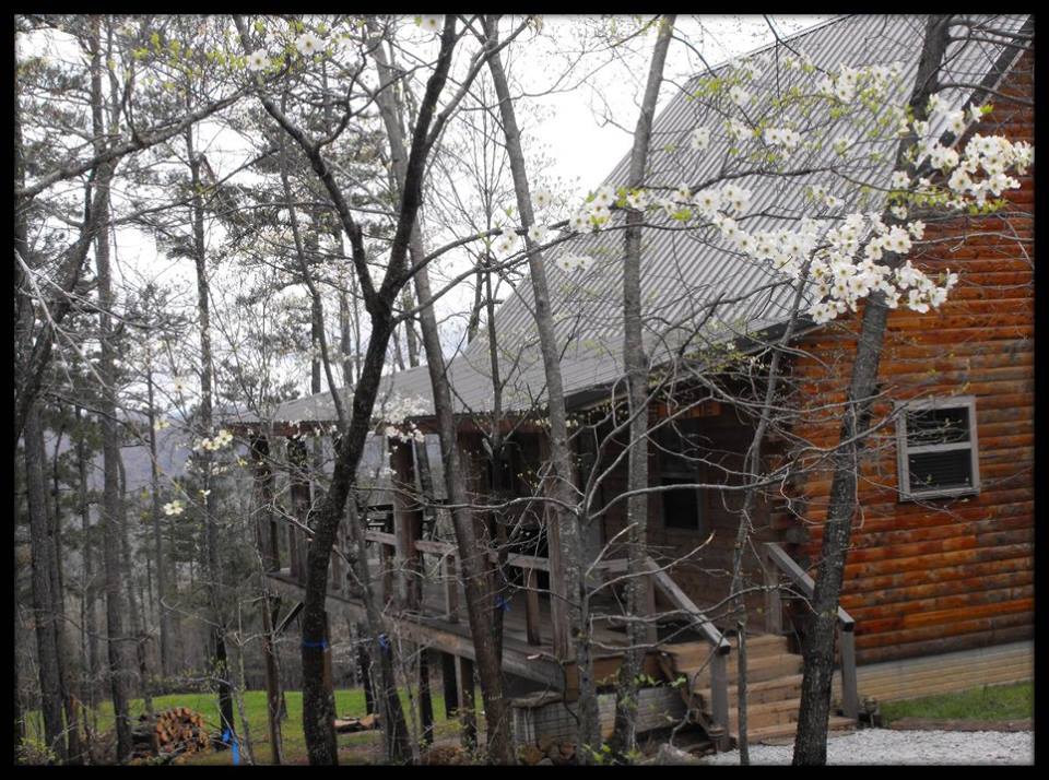 Deer Lodge Cabin Rentals Dogwood Cabin Cabins For Rent In Jasper