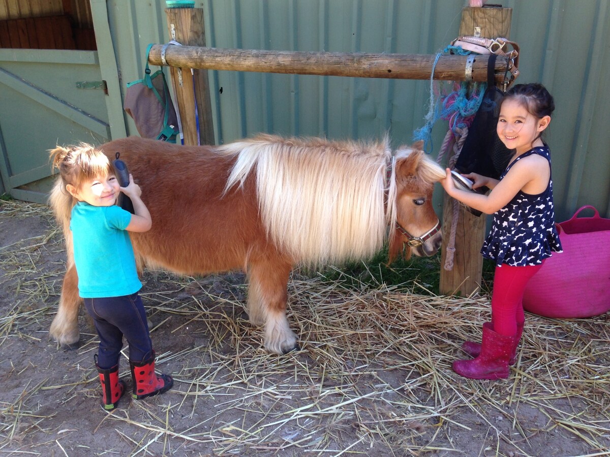 Gumleaf Cottage Farmstay Farm Stays For Rent In Hovea