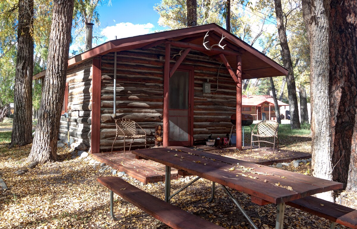 Woodland Brook Cabins Buena Vista Co