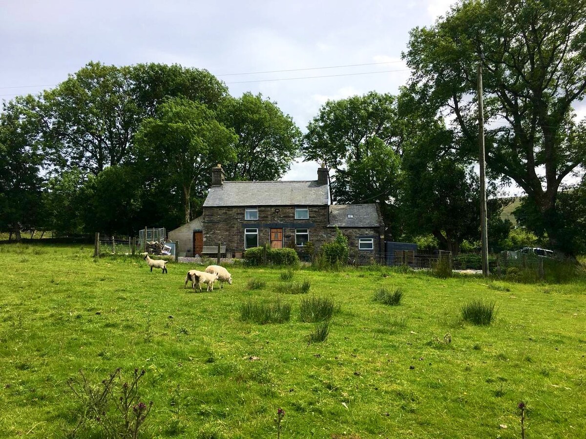 Bryn Tirion Penmachno Discover Snowdonia Cottages For Rent In