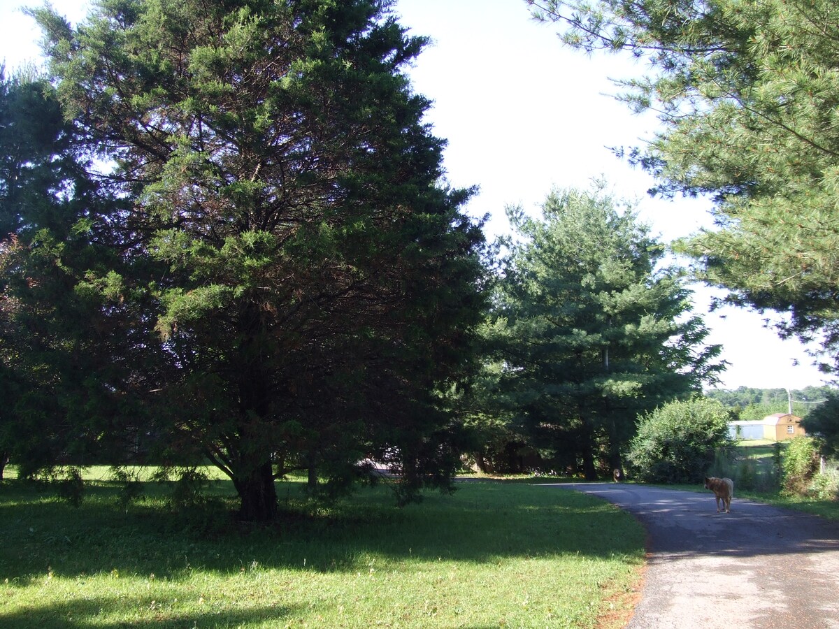 Last Rodeo Cottage Cottages For Rent In Martinsburg