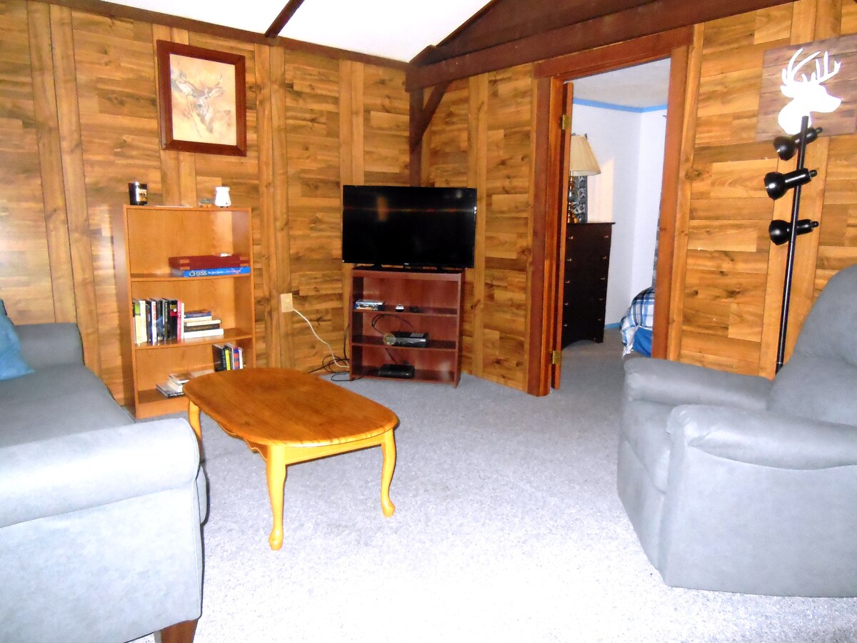 Atwood Lake Year Round Getaway Cabin Cabins For Rent In Dellroy