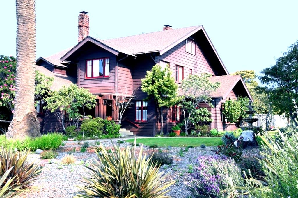 Point Arena Ca Bed And Breakfast Point Arena Ca Bed And Breakfast