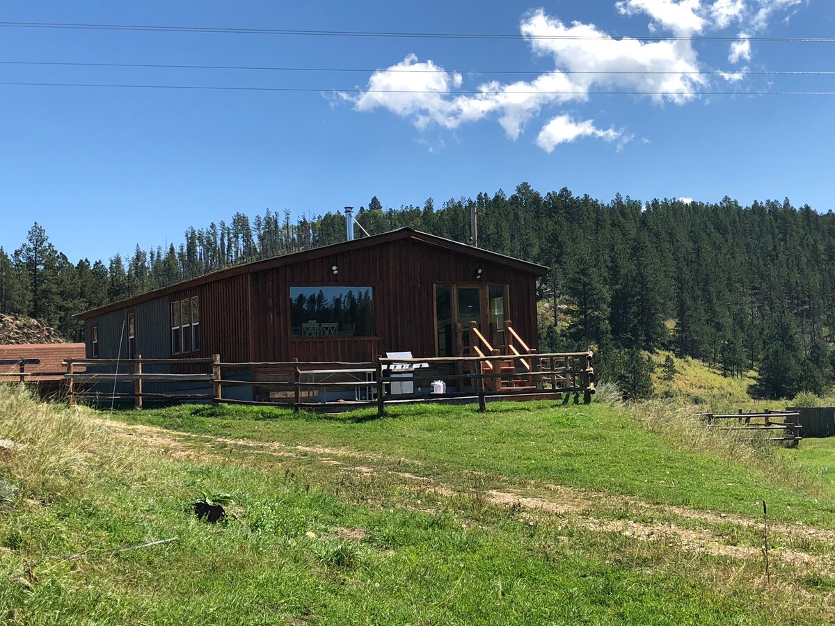 Nahant Cabin Close To Deadwood And Rochford Cabins For Rent In