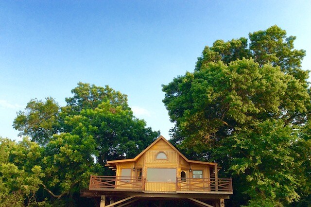 Bird S Nest Tree House Minutes From Turner Falls Cabins For