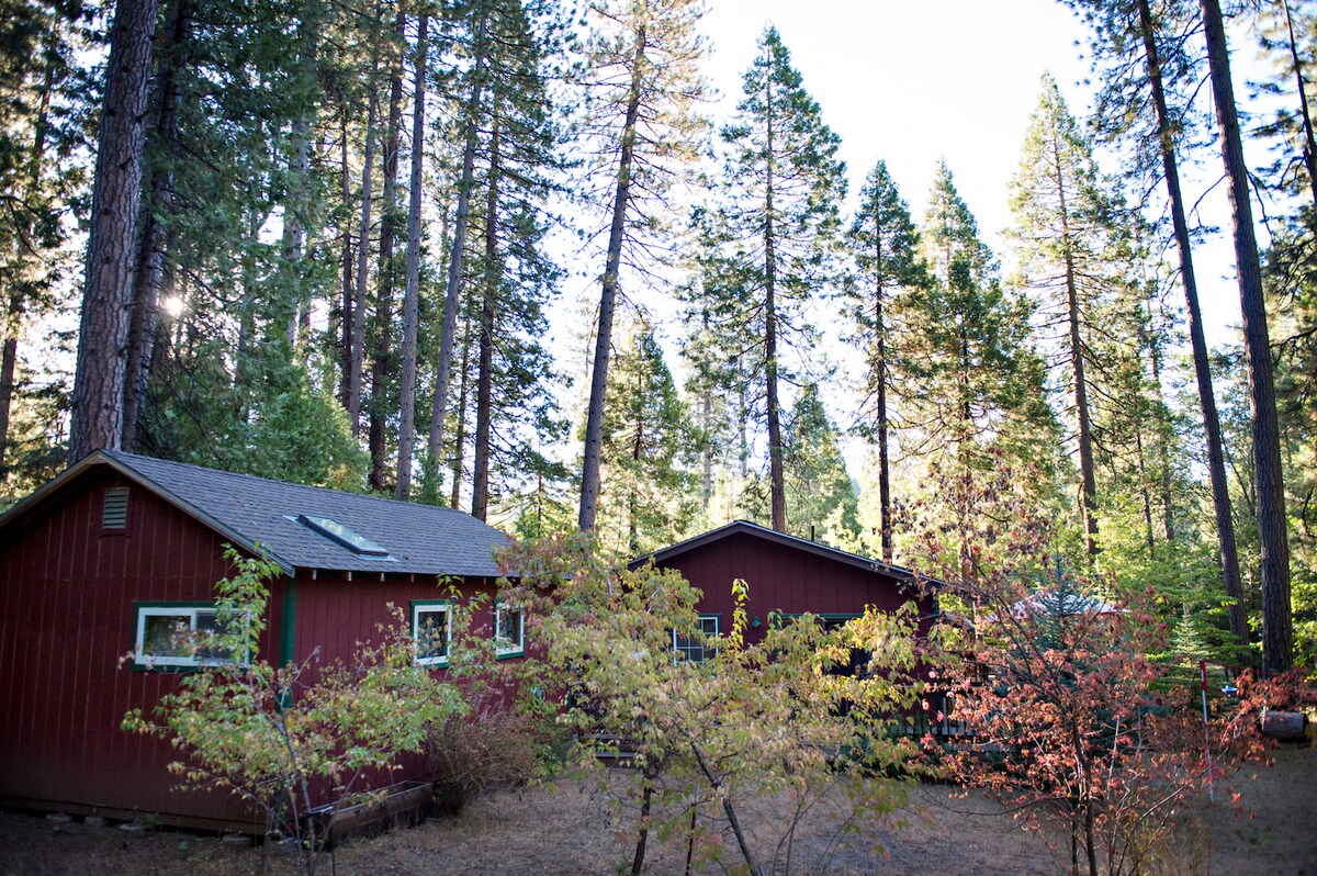 Skylight Retreat Inspiration Cabins For Rent In Arnold