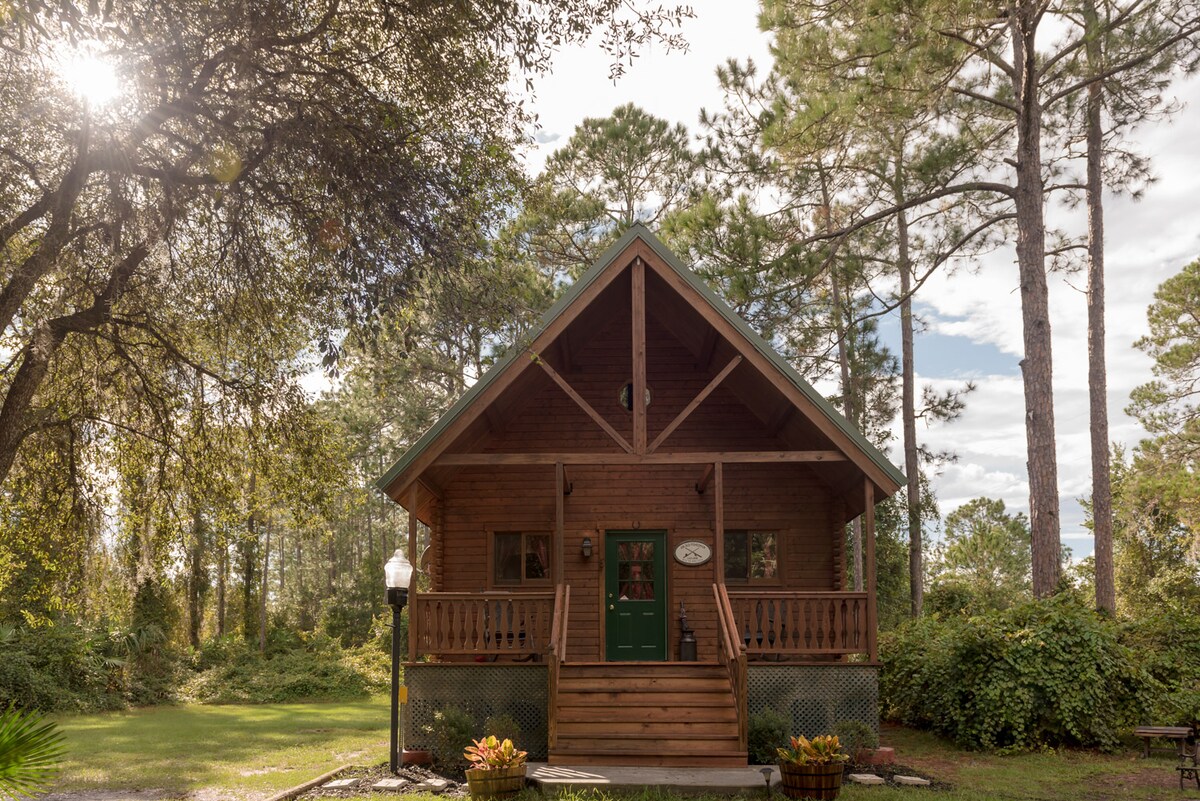 Cabin In The Woods Cabins For Rent In Pierson