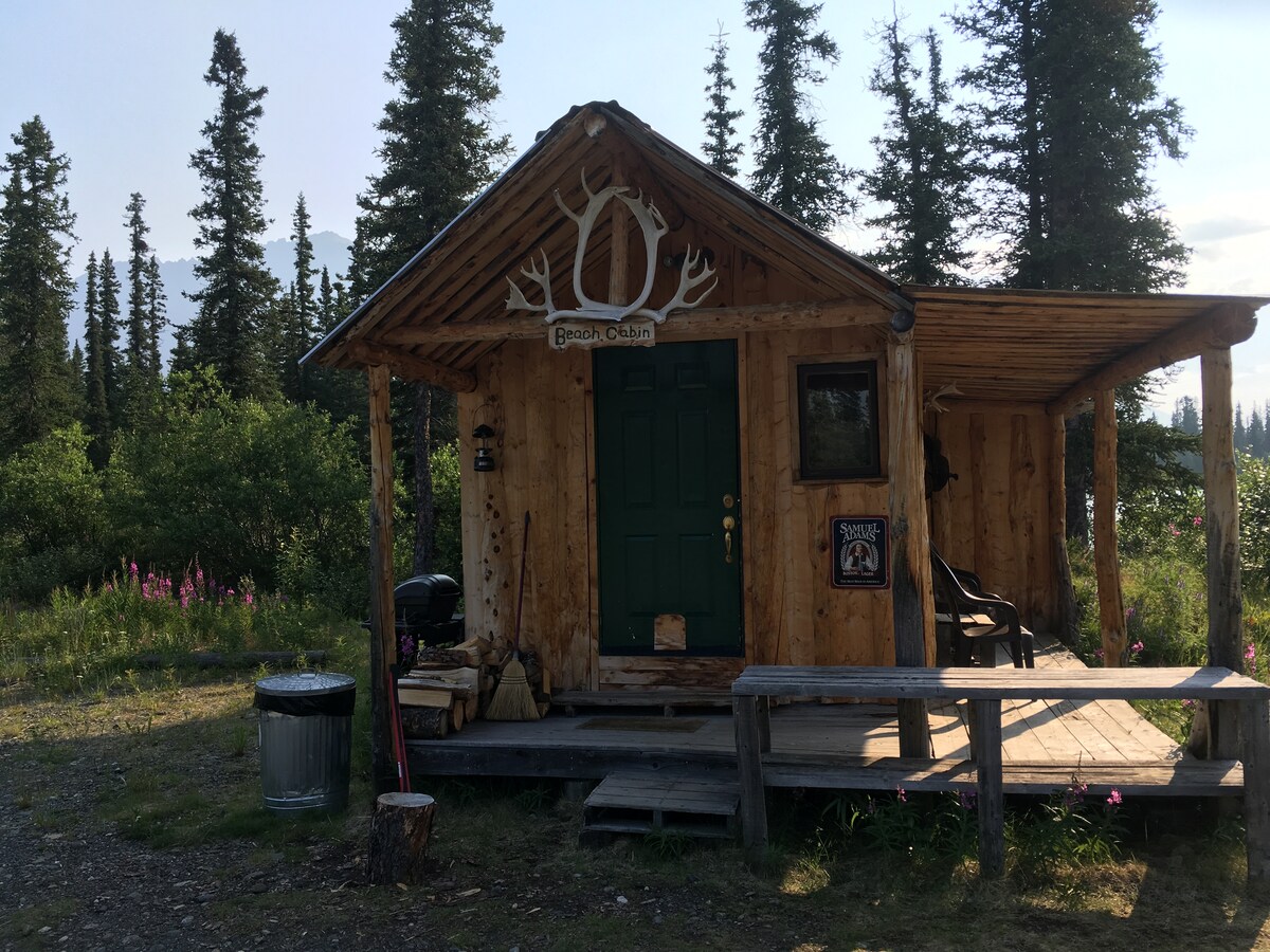Adventure Denali S Beach Cabin Cabins For Rent In Denali