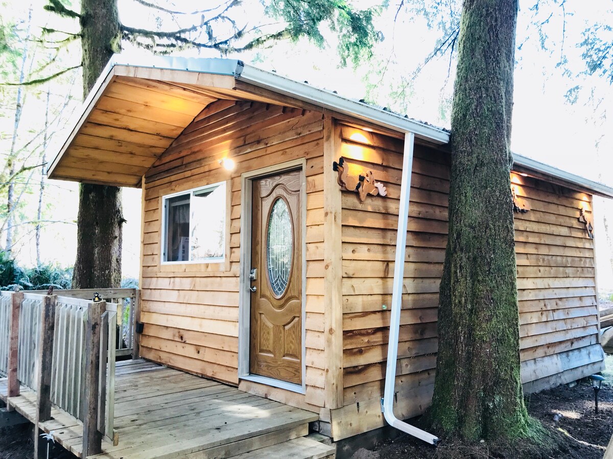 Huckleberry Cabin Cabins For Rent In Forks