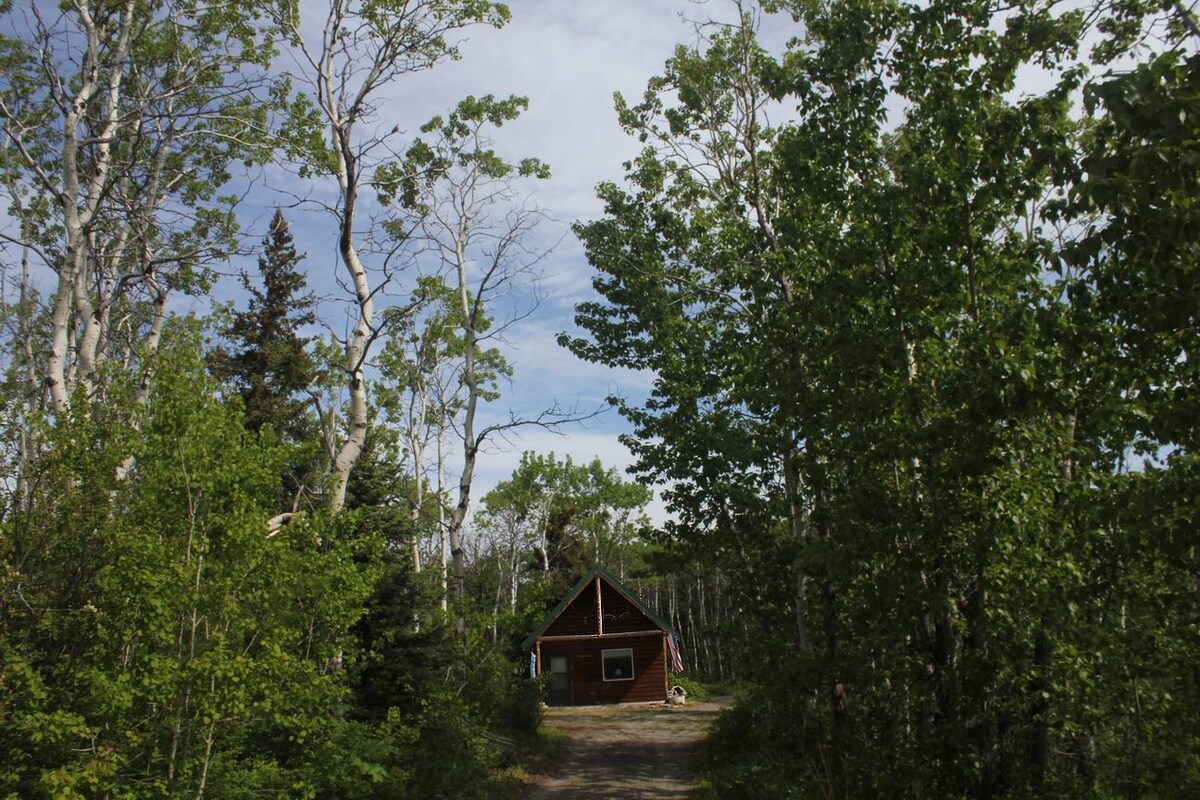 Quaking Aspen Hide Away Cabins For Rent In Babb