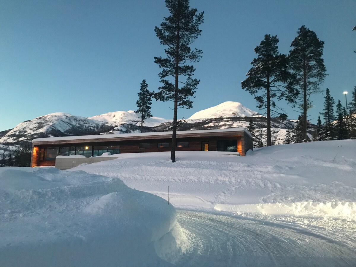 Modern Cabin Hemsedal - Ski Inn/Out - Chalets for Rent in Hemsedal